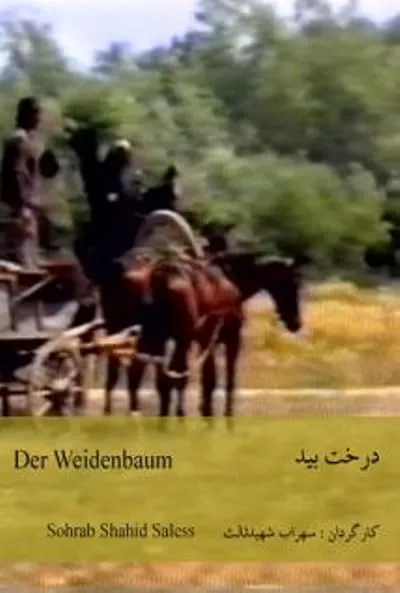  فیلم The Willow Tree 1984