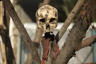  سریال Thousand Fangs