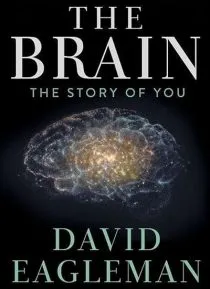 سریال The Brain with Dr. David Eagleman