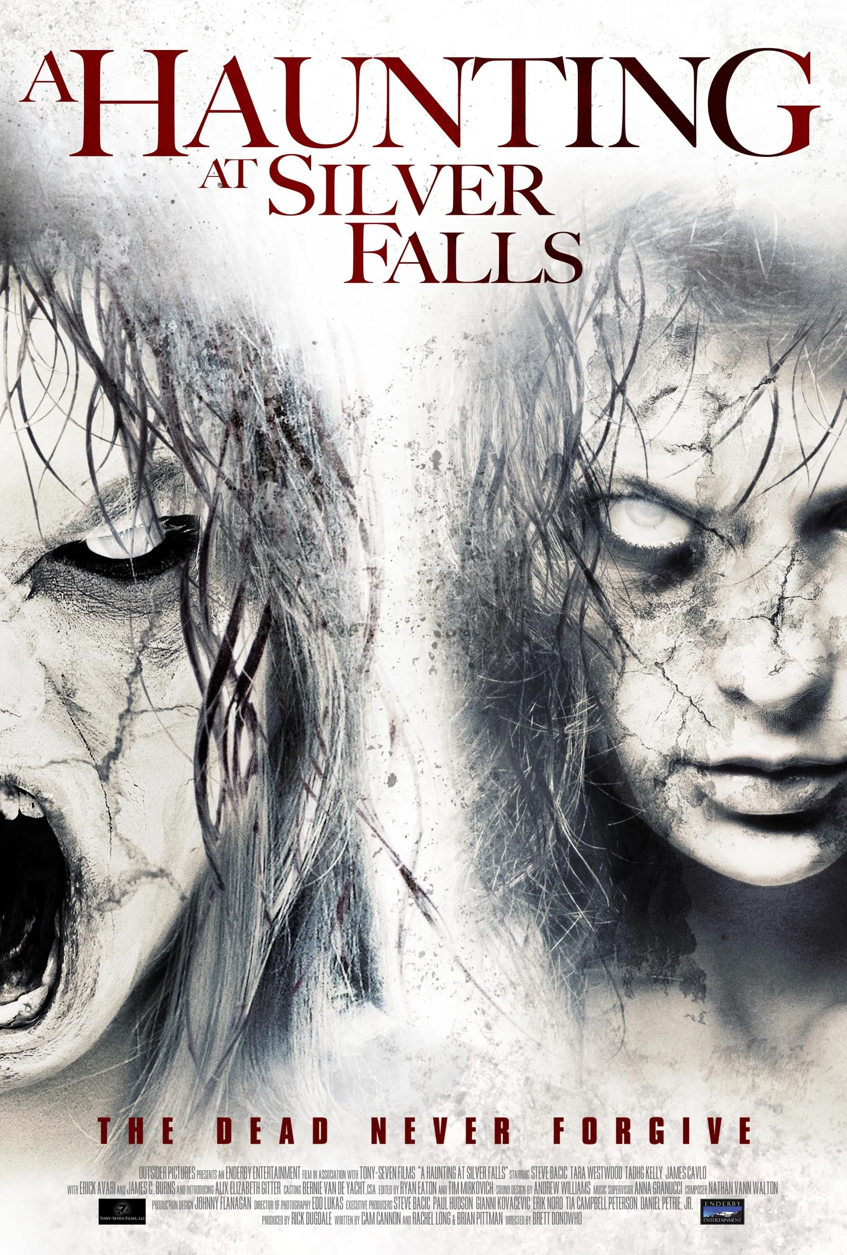  فیلم A Haunting at Silver Falls 2013