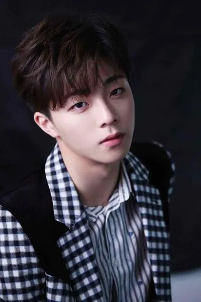 Ayçin Tuyun