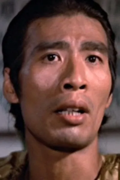 Mang Fei