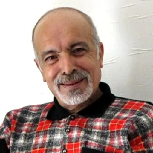 حسن رفیعی