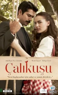 سریال ترکی Çalıkuşu