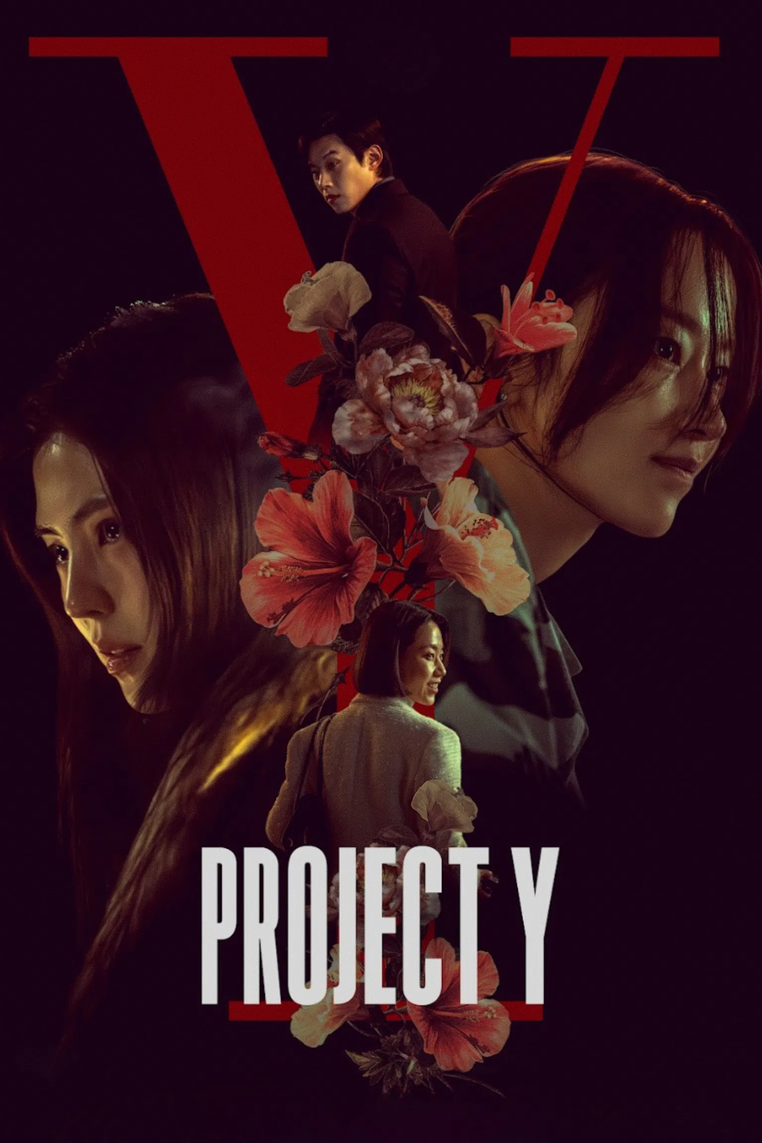فیلم Project Y 2025