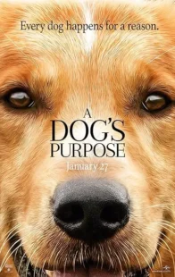  فیلم هندی A Dog’s Purpose 2017