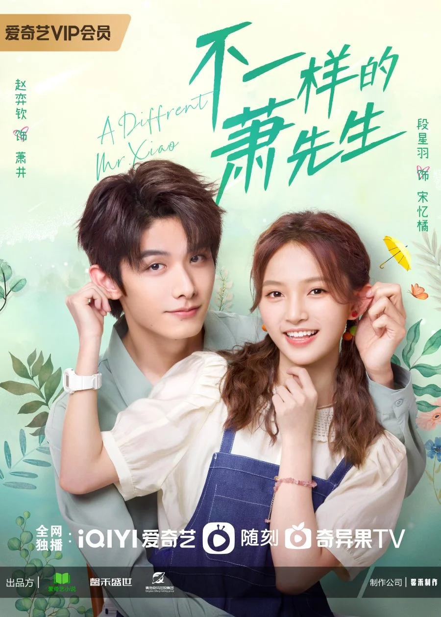 سریال A Different Mr. Xiao