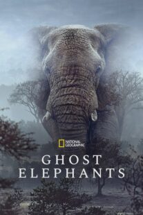 مستند Ghost Elephants 2025