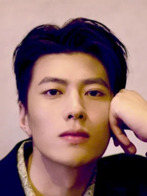 Hu Zheng Jun