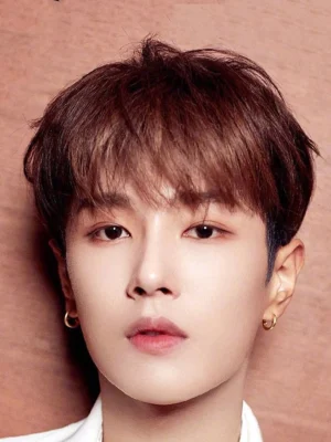 Li Wen Han