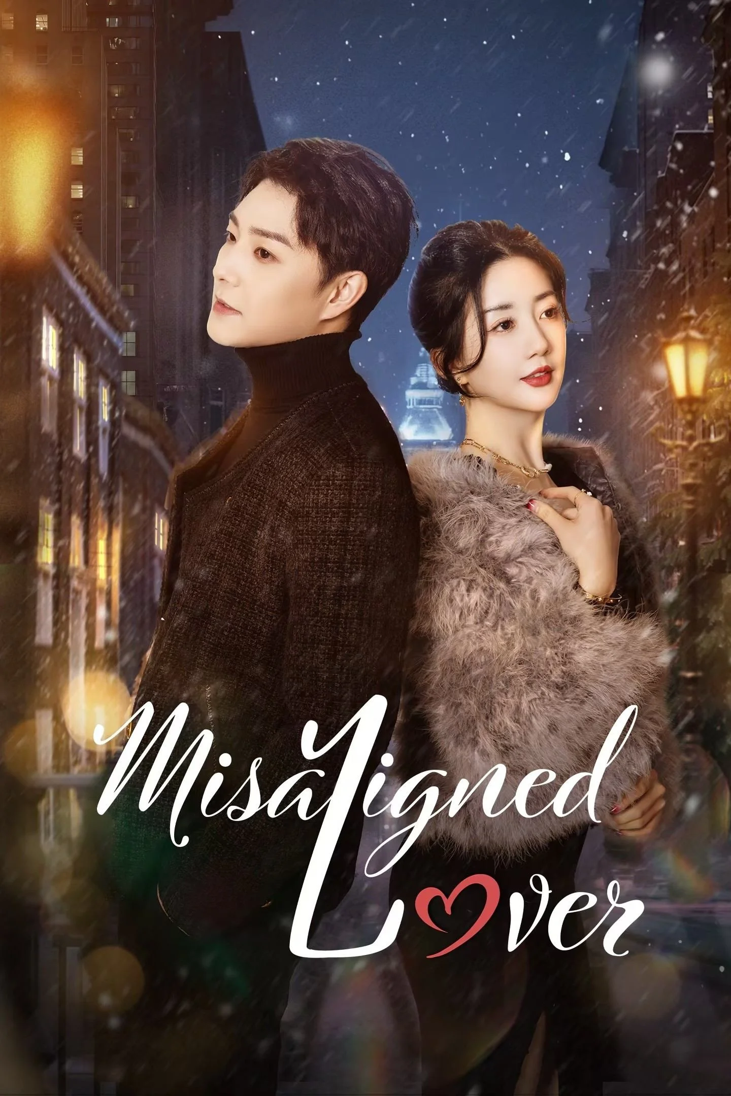 سریال Misplaced Lover