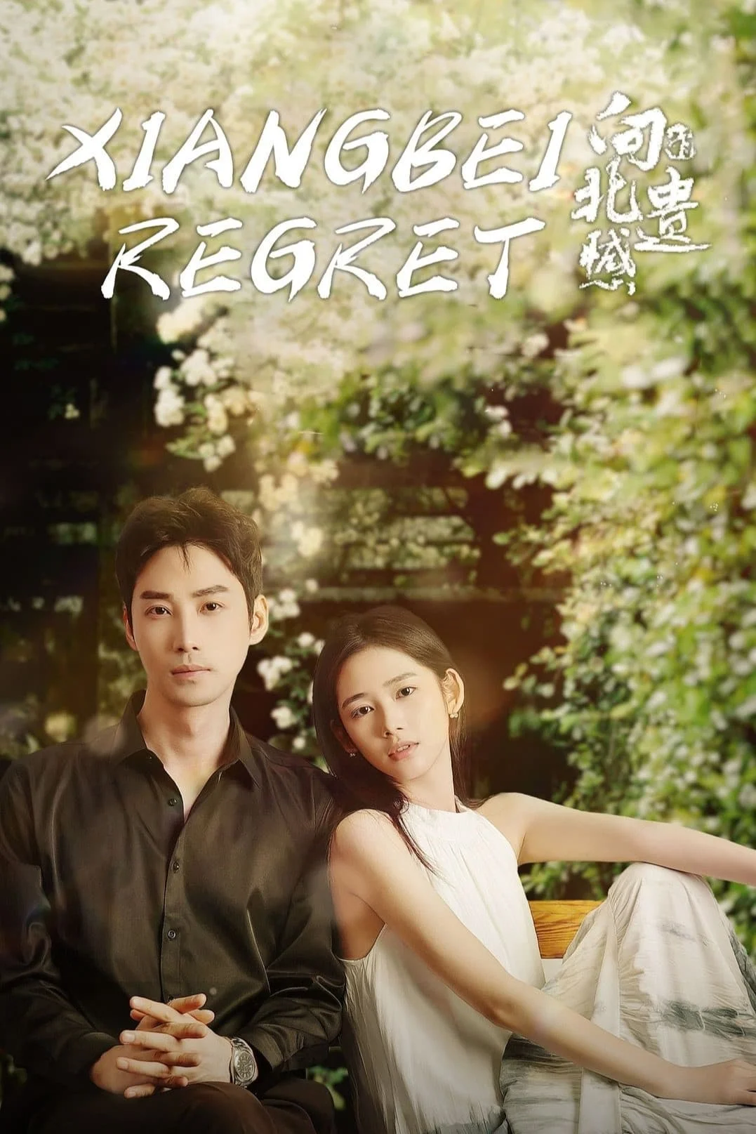 سریال Xiangbei Regret