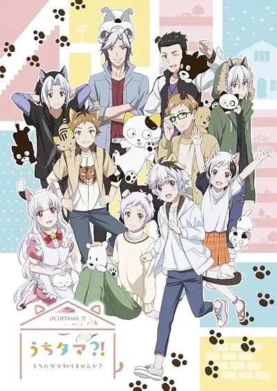 انیمه Uchi Tama?! Uchi no Tama Shirimasen ka?