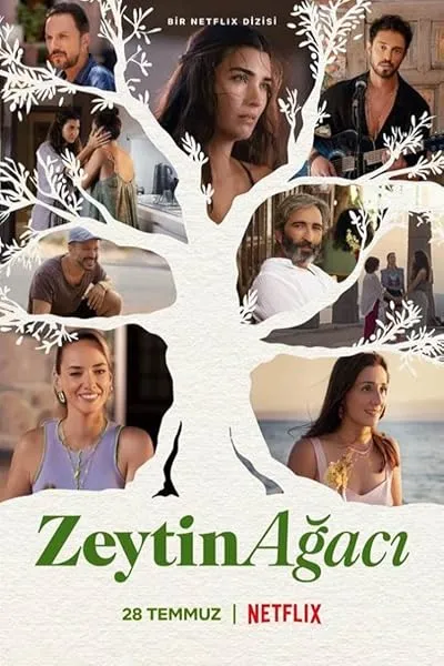 سریال ترکی Zeytin Ağacı