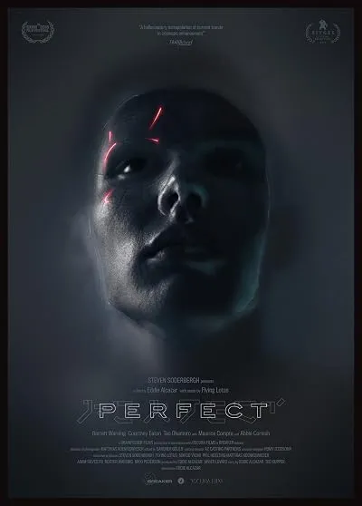 فیلم Perfect 2018