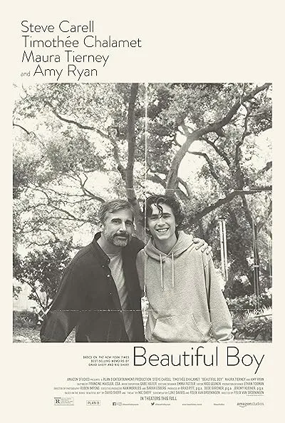  فیلم Beautiful Boy 2018