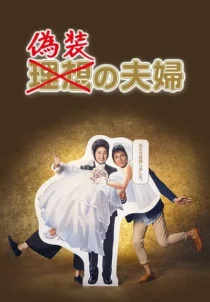 سریال Fake Couple