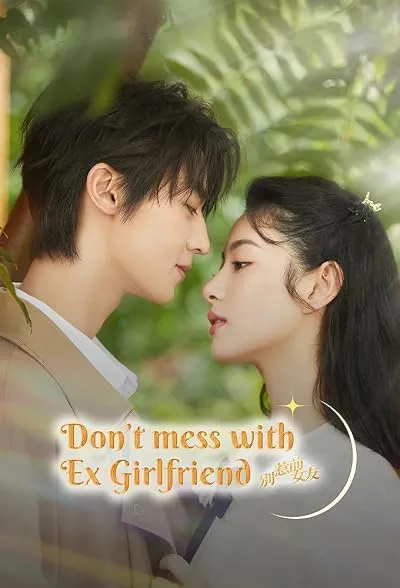 سریال Don't Mess With EX-friend