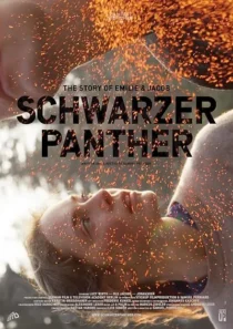  فیلم Schwarzer Panther 2014