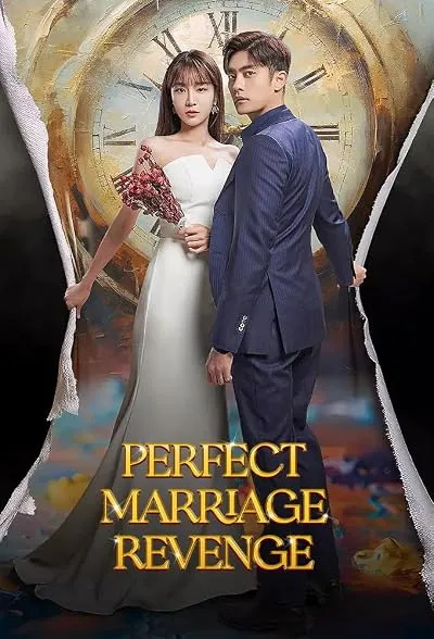 سریال Perfect Marriage Revenge