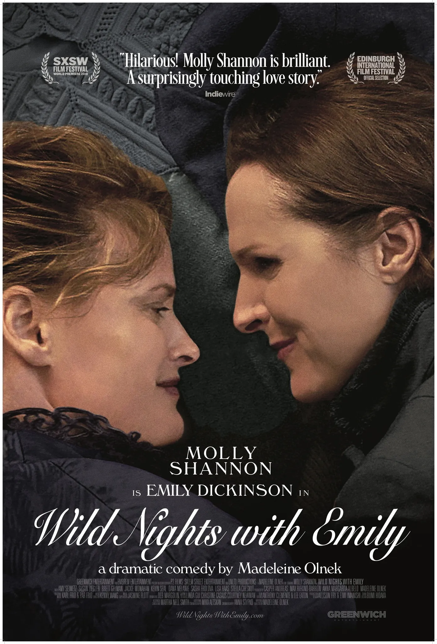  فیلم Wild Nights with Emily 2018