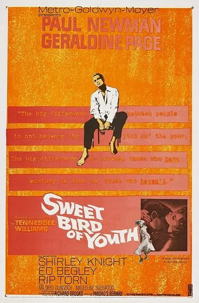  فیلم Sweet Bird of Youth 1962