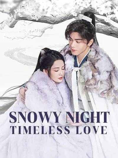  سریال Snowy Night Timeless Love