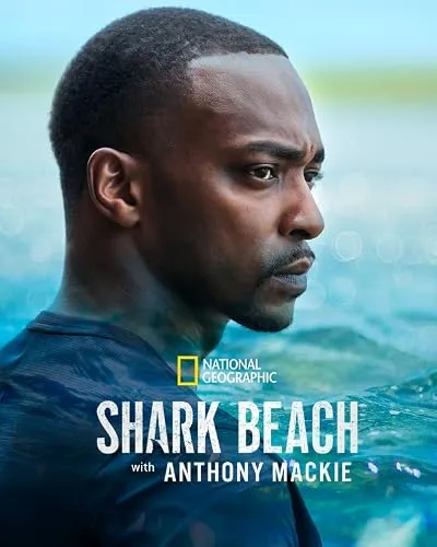 مستند Shark Beach with Anthony Mackie 2024