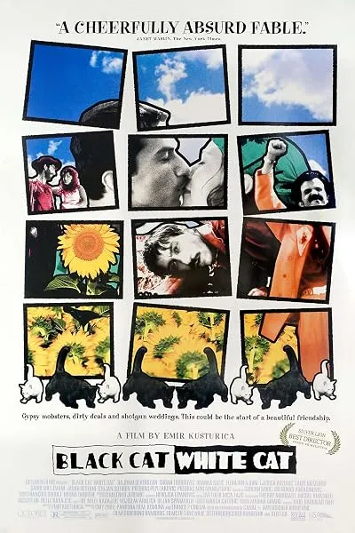 فیلم Black Cat, White Cat 1998
