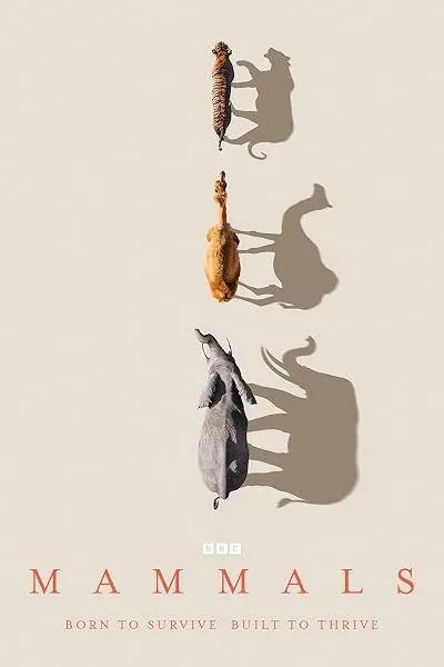 سریال Mammals