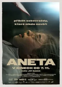  فیلم Aneta 2024