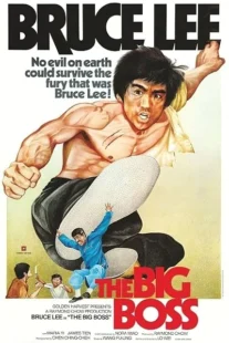 فیلم The Big Boss 1971