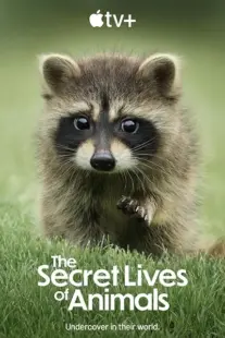 مستند The Secret Lives of Animals