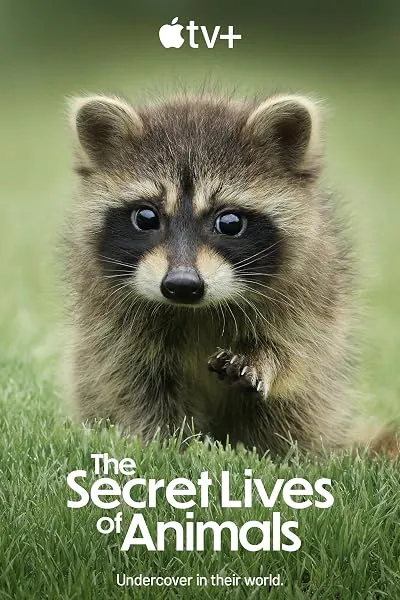 مستند The Secret Lives of Animals