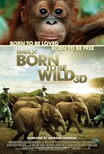  مستند Born to Be Wild 2011