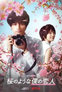 فیلم Love Like the Falling Petals 2022