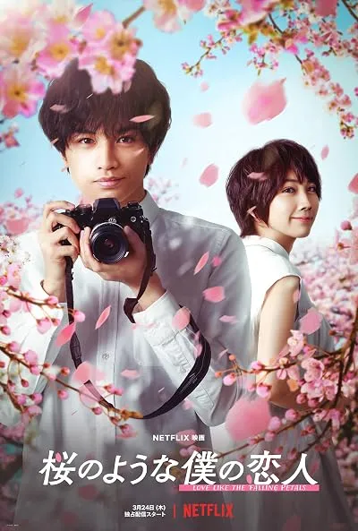  فیلم Love Like the Falling Petals 2022