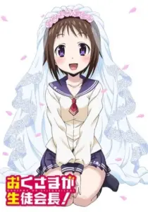 انیمه Okusama ga Seitokaichou!+!