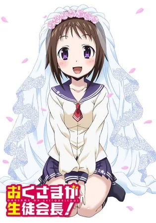 انیمه Okusama ga Seitokaichou!+!