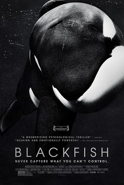  فیلم Blackfish 2013