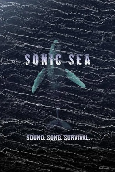  مستند Sonic Sea 2016
