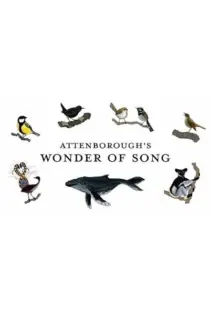 مستند Attenborough’s Wonder of Song 2022