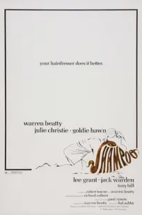 فیلم Shampoo 1975